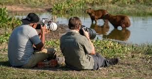 Pench Panna Photography